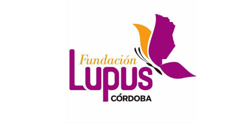 Voluntariado