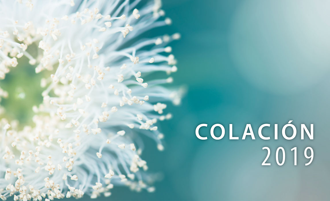 Acto de Colación 2019